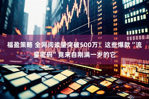 福盈策略 全网阅读量突破500万！这些爆款“流量密码”竟来自刚满一岁的它