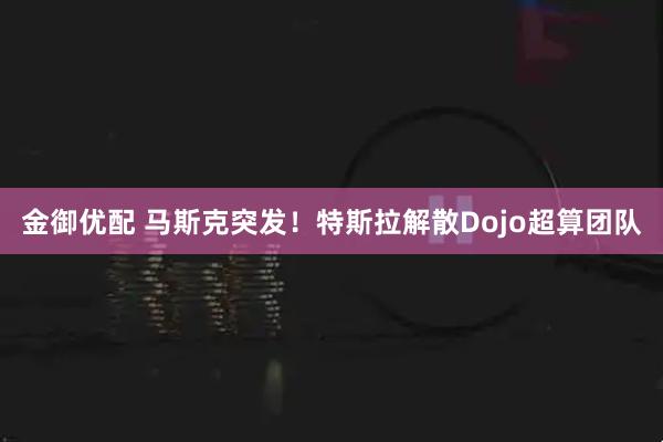 金御优配 马斯克突发！特斯拉解散Dojo超算团队