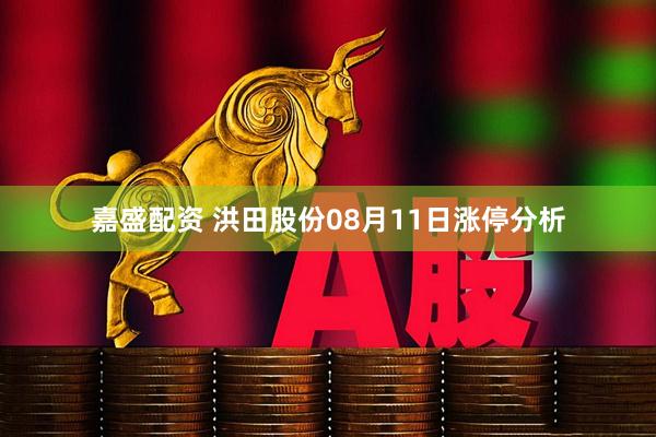 嘉盛配资 洪田股份08月11日涨停分析
