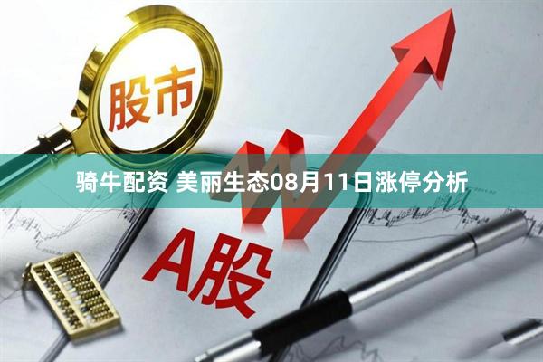 骑牛配资 美丽生态08月11日涨停分析
