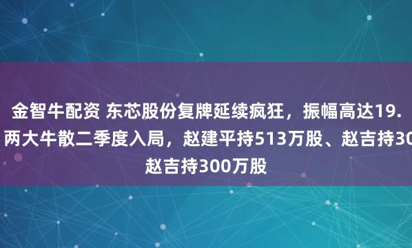 金智牛配资 东芯股份复牌延续疯狂,振幅高达19.49%,两大牛散二季度入局,赵建平持513万股、赵吉持300万股